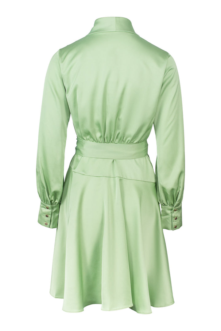 Iza Mini Dress Pistachio