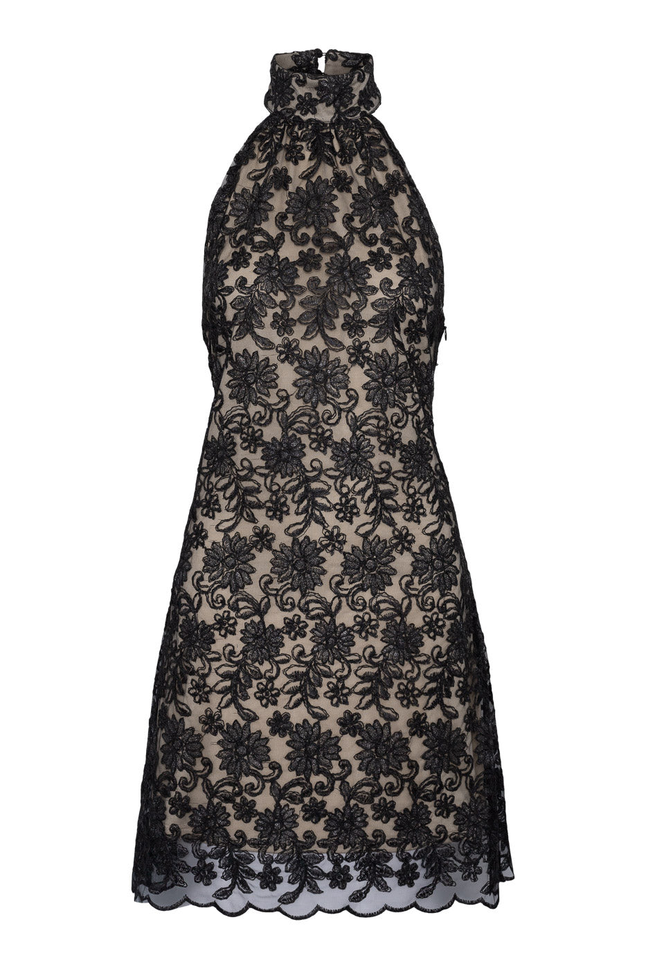 Lupita Mini Dress Black Lace