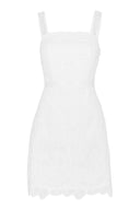 Feminine, embroidered mini dress featuring fitted silhouette.